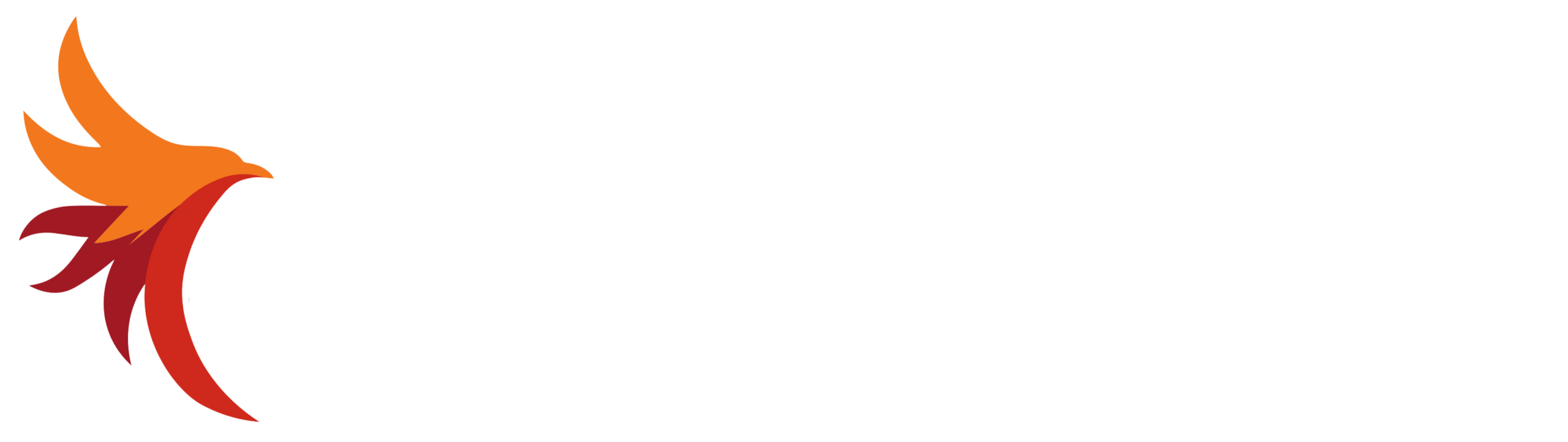 Elenco Definitivo